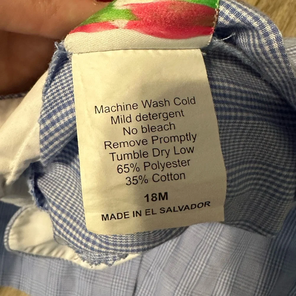 Shrimp and grits pumpkin/turkey dress - Picture 6 of 6